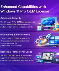 Windows 11 Pro OEM License