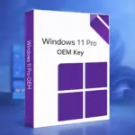 Windows 11 Pro OEM Key