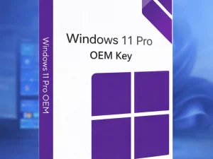 Windows 11 Pro OEM Key
