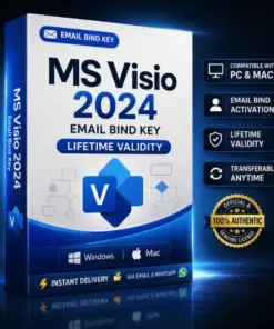 visio 2024 pro plus