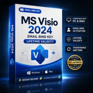 visio 2024 pro plus