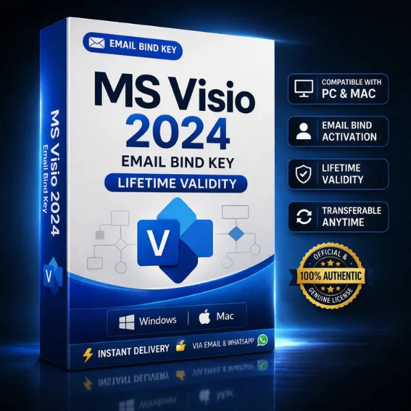 visio 2024 pro plus