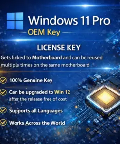 Windows 11 Pro OEM Key