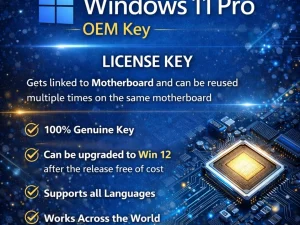 Windows 11 Pro OEM Key