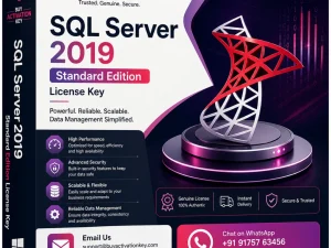 SQL Server 2019 Standard Edition License Key