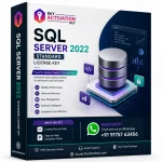 SQL Server 2022 Standard License