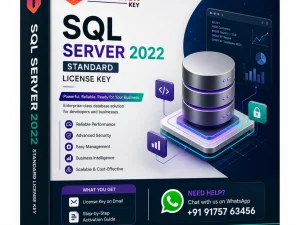 SQL Server 2022 Standard License