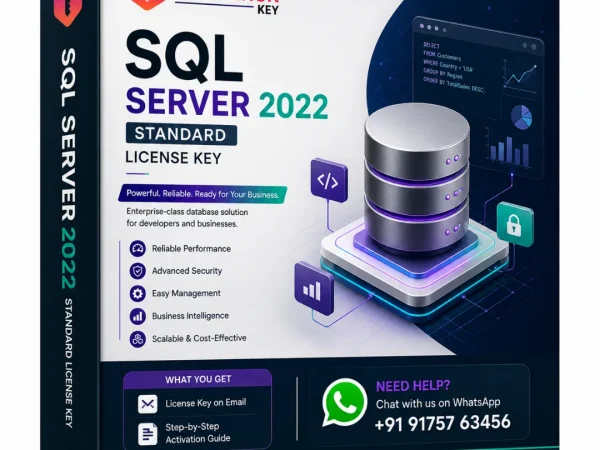 SQL Server 2022 Standard License