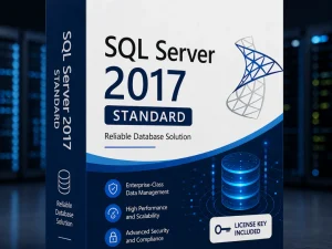 Server 2017 Standard License