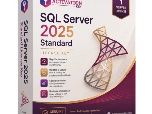 SQL Server 2025 Standard License Key